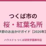 つくば市の桜・紅葉名所｜季節のお出かけガイド【2026年】